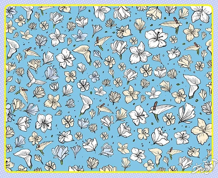 چند معمای تصویری برای آنهایی که توجه و دقت زیادی دارند